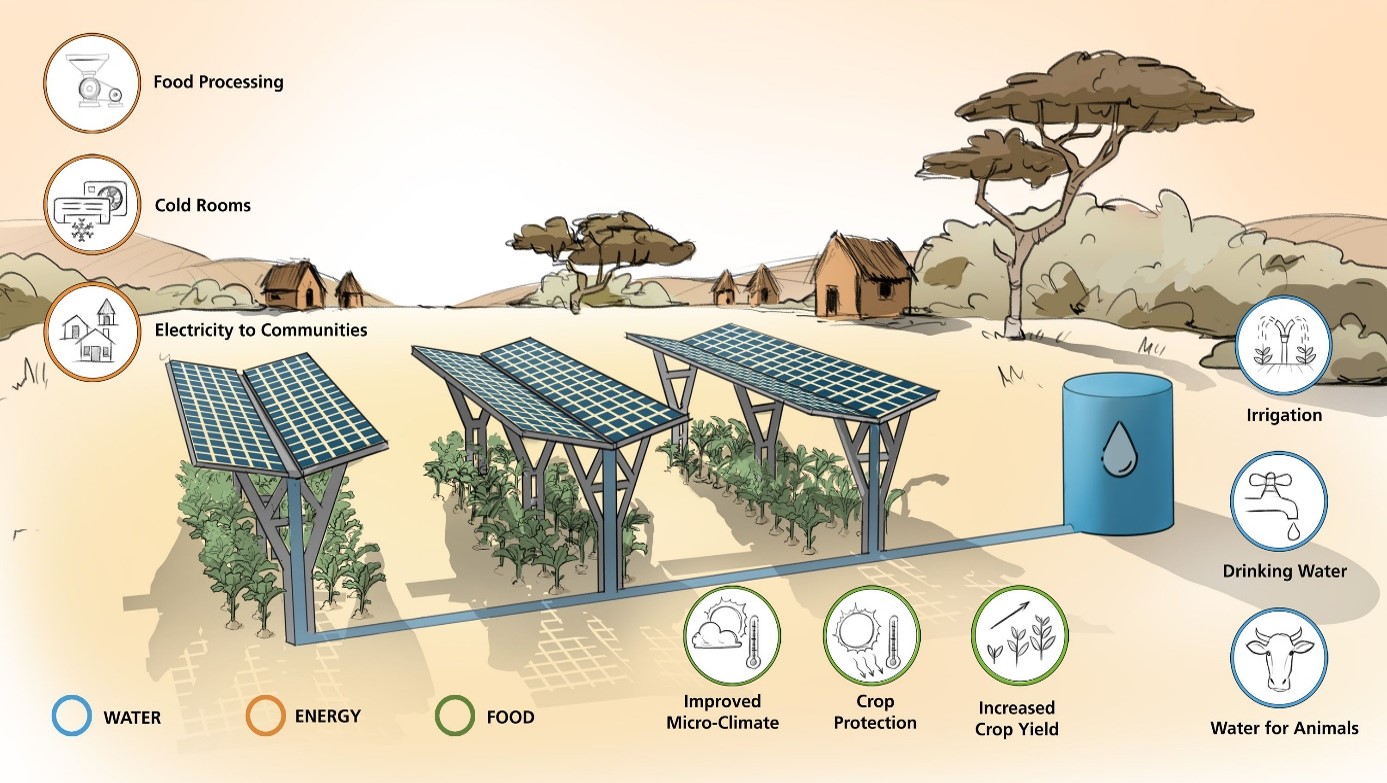 Agrivoltaics