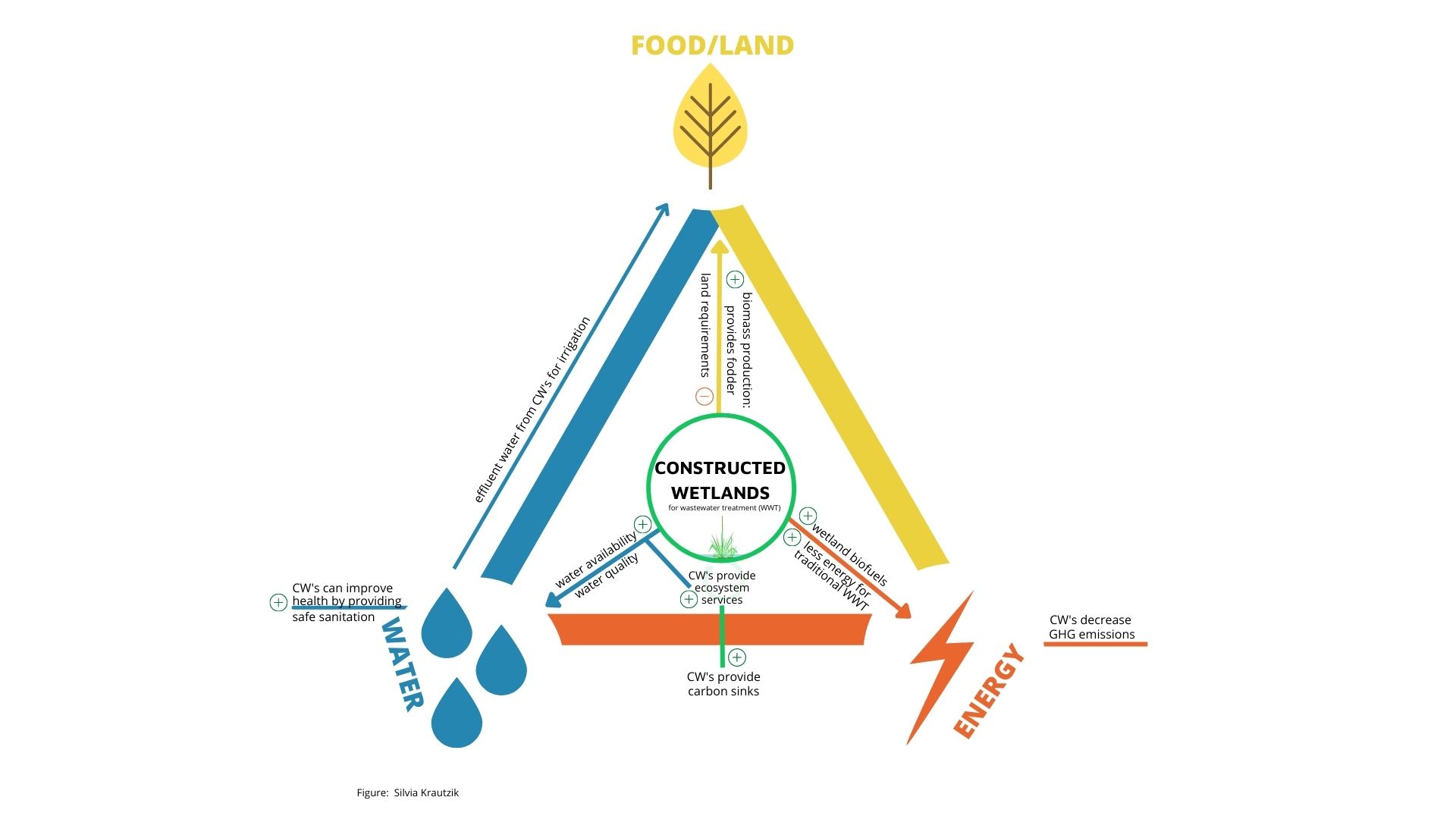 Wetlands, Nexus diagram